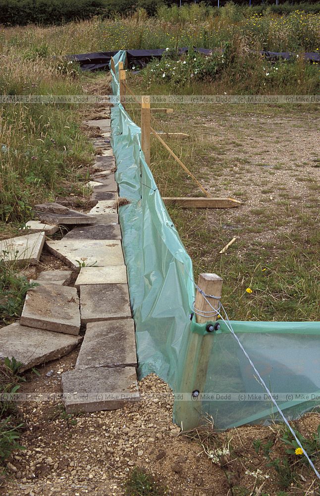 Newt fencing, Walton Hall, Milton Keynes