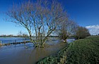 Area of potential floodplain forest, north Milton Keynes