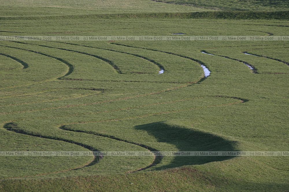 Grass maze Willen Lake, Milton Keynes