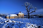 Oak with snow, Great Holm, Milton Keynes