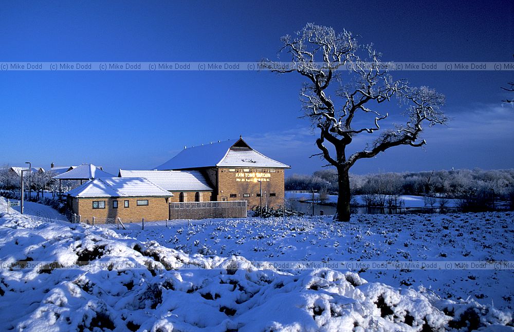 Oak with snow, Great Holm, Milton Keynes