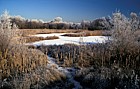 Walton lake, frost, Milton Keynes