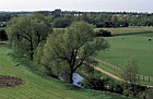 River ouzel and trees, Walton Hall, Milton Keynes