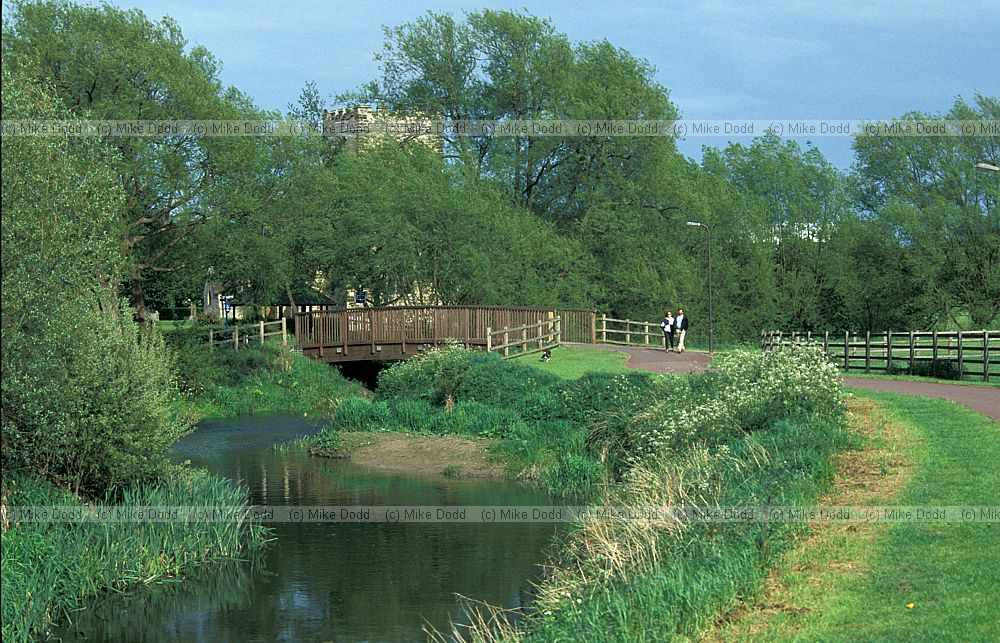 River ouzel and trees, Walton Hall, Milton Keynes