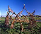 Circle dance living sculpture made out of willow by Clare Wilks.  Campbell park, Milton Keynes.