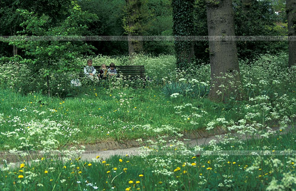 Central woodland Walton Hall