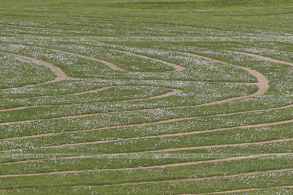 Grass maze Willen Lake