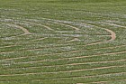 Grass maze Willen Lake