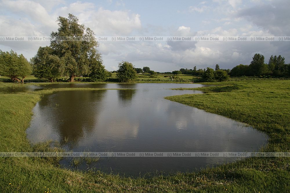 Great Woolstone medieval fishponds full of water