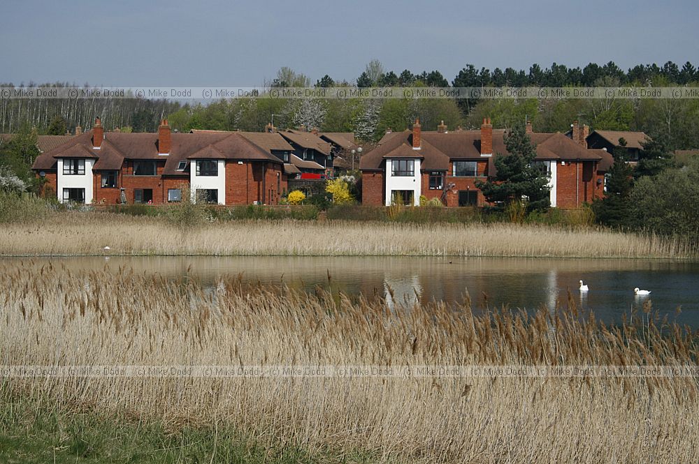 Tongwell