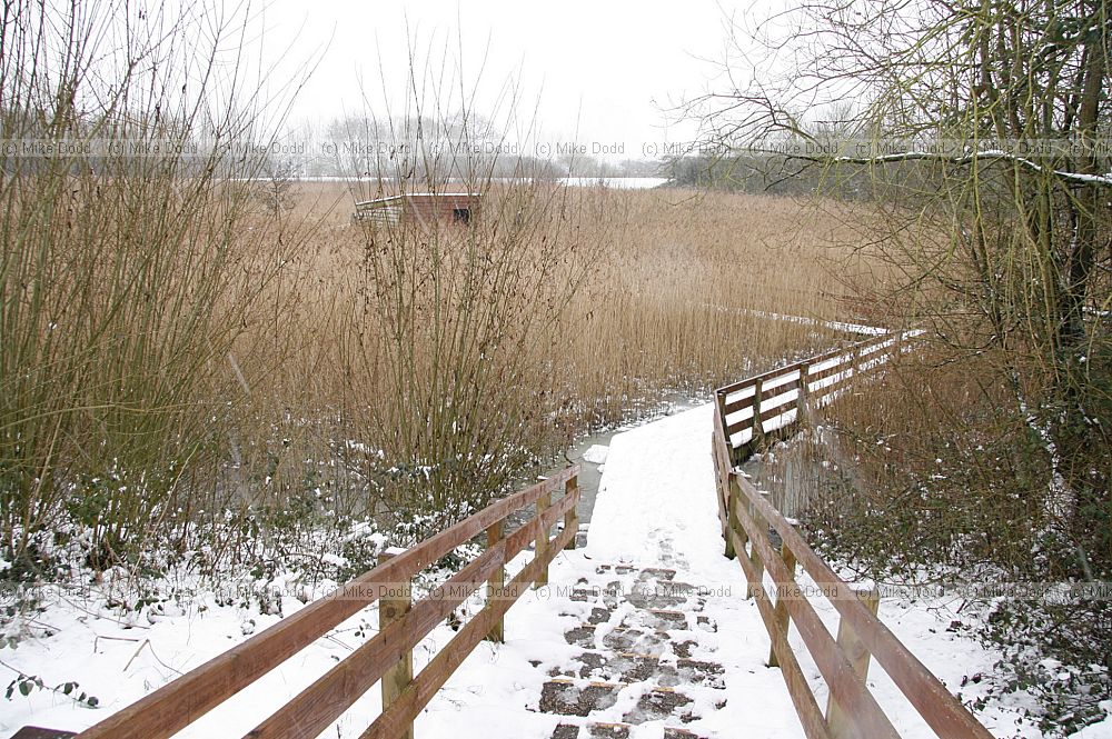 Walton Lake snow