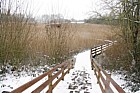 Walton Lake snow