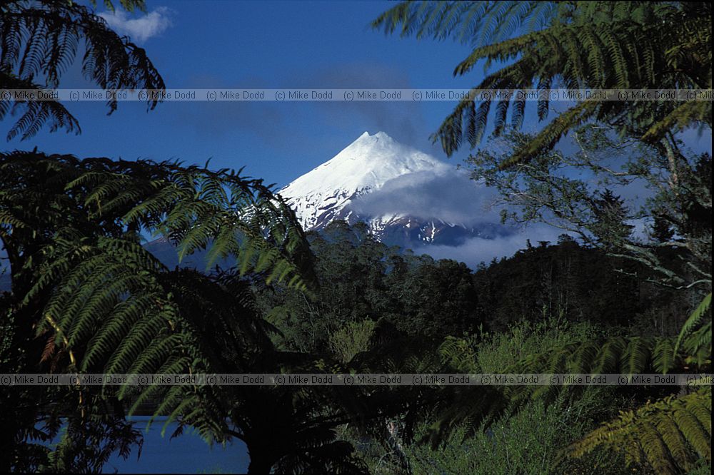 Mount Taranaki volcano or sometimes called mount Egremont volcano