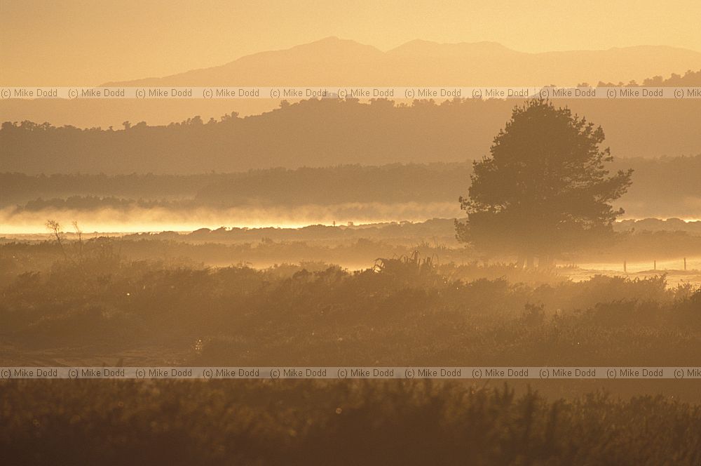 Sunrise Okarito