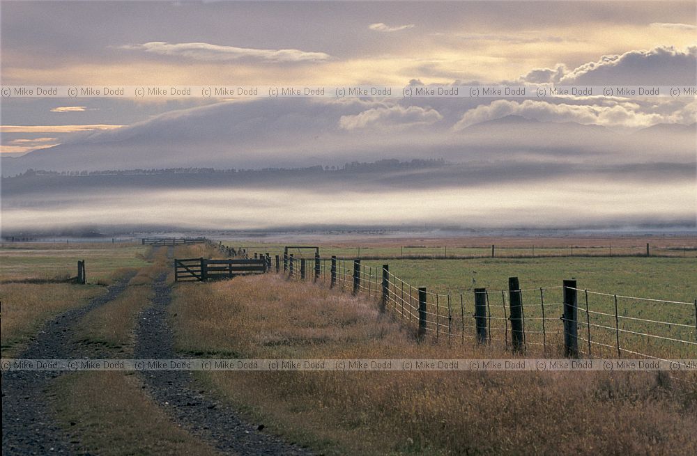 Morning mist and cloud formations near Lake Manapouri south island