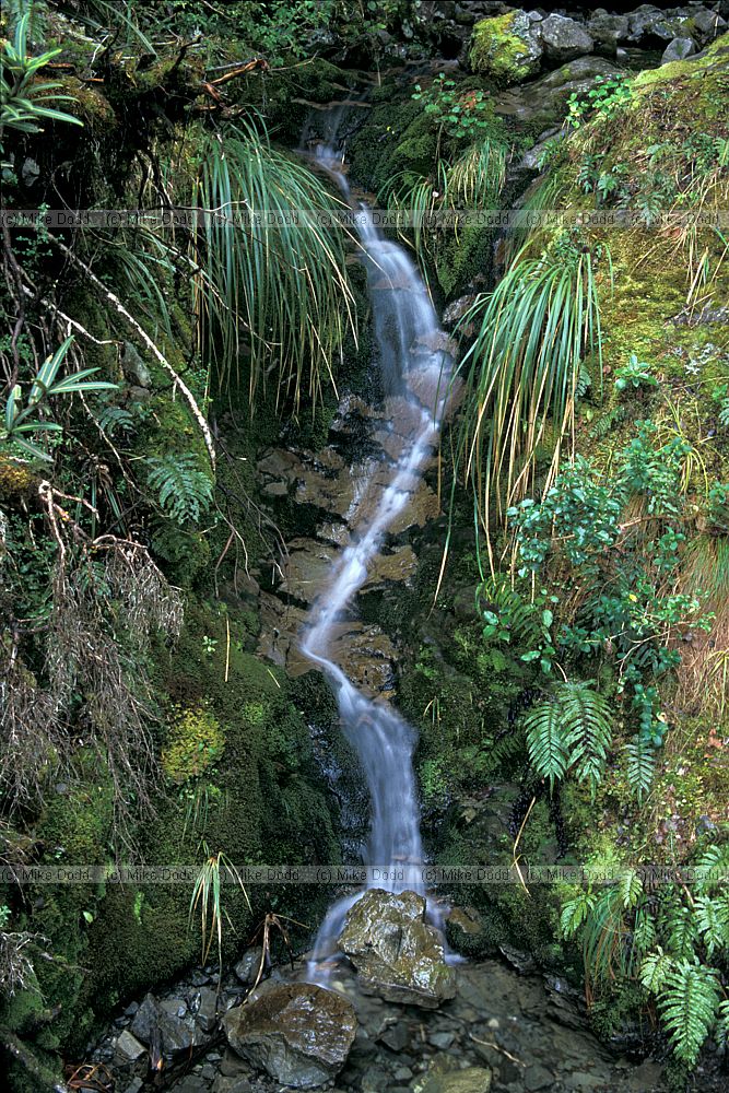 Stream Arthurs pass