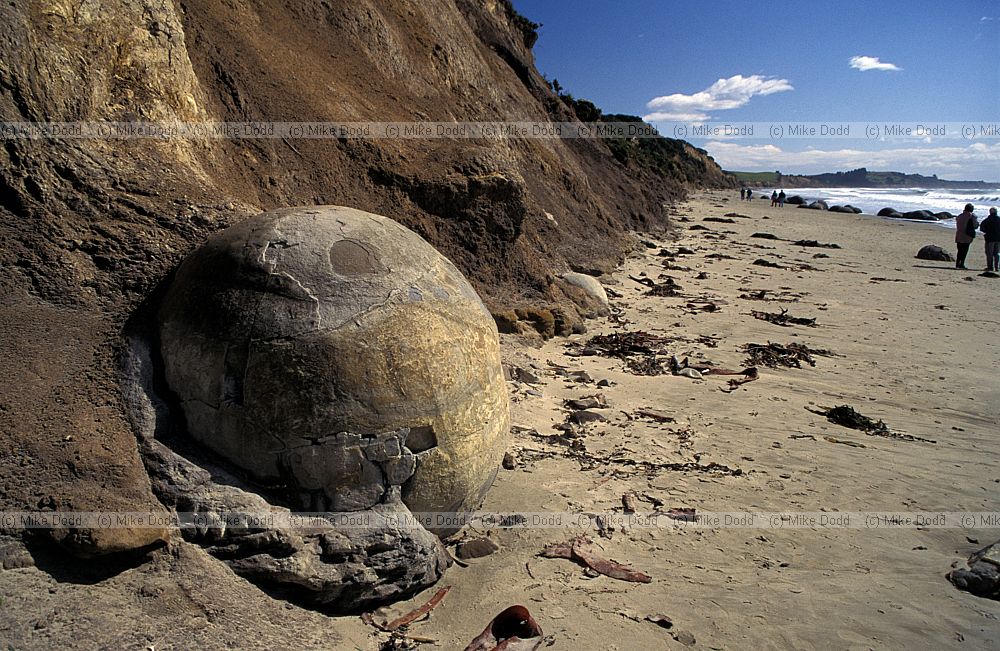 Moeraki boulders