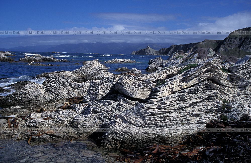 curvy rocks Kaikoura