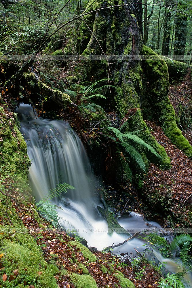 Waterfall near Te Anu