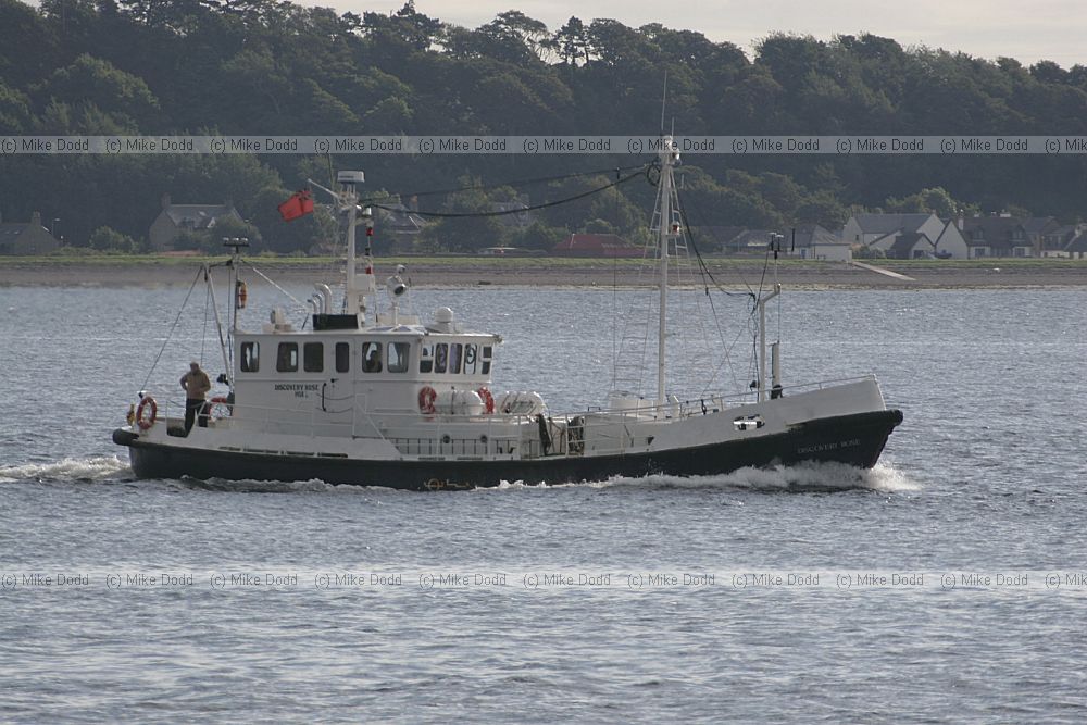 Discovery Rose boat