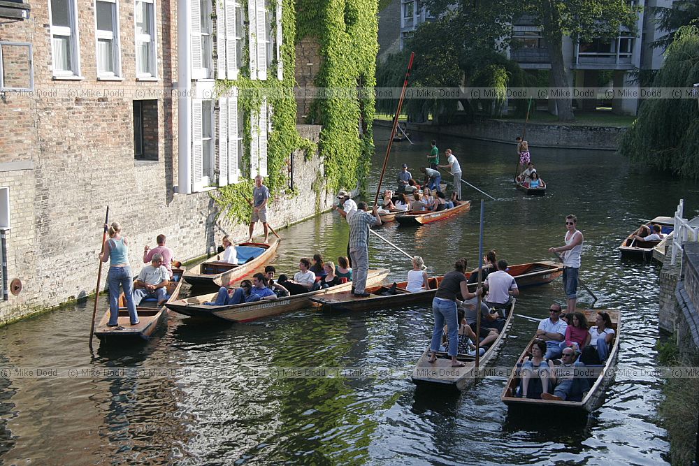 Punting round the backs Cambridge