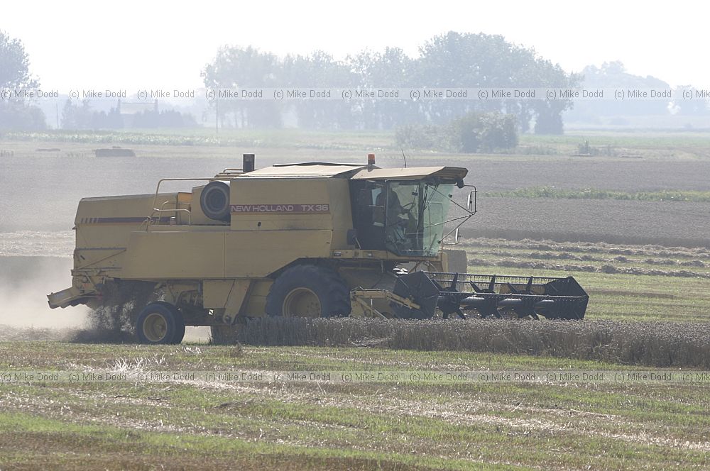 Combine harvester with loads of dust