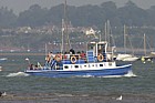 Pedestrian ferry Exe estuary