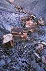 Petrified wood at petrified forest National Park Arizona
