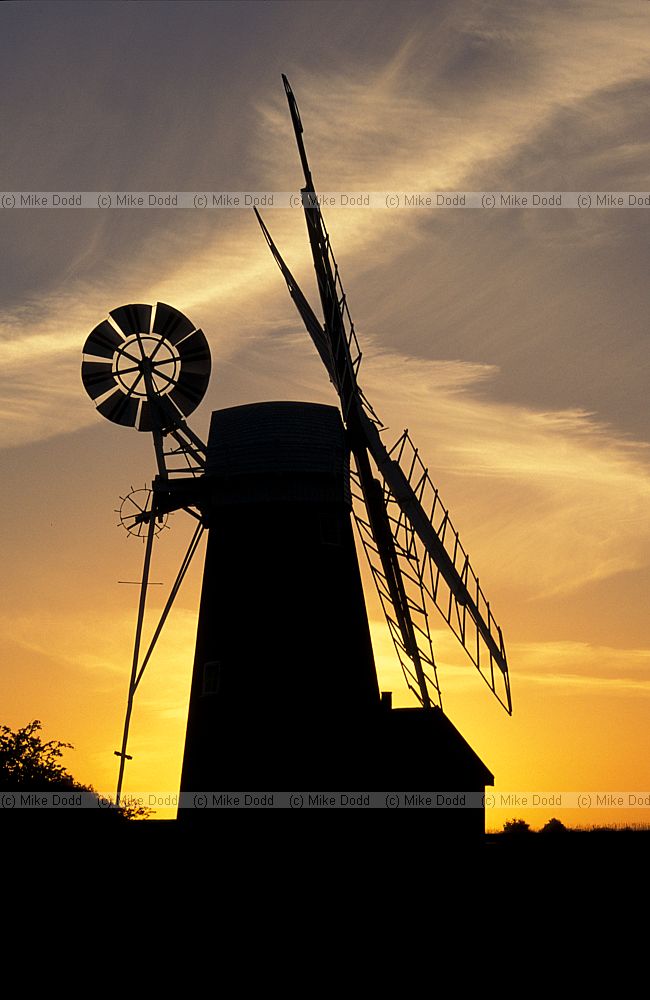 Stracey arms tower windpump sunset Norfolk