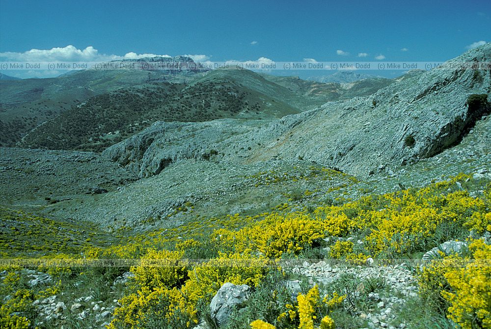 limestone landscape near Rhonda Andalucia
