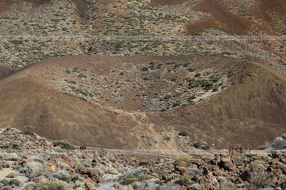 Cinder cone Teide national park