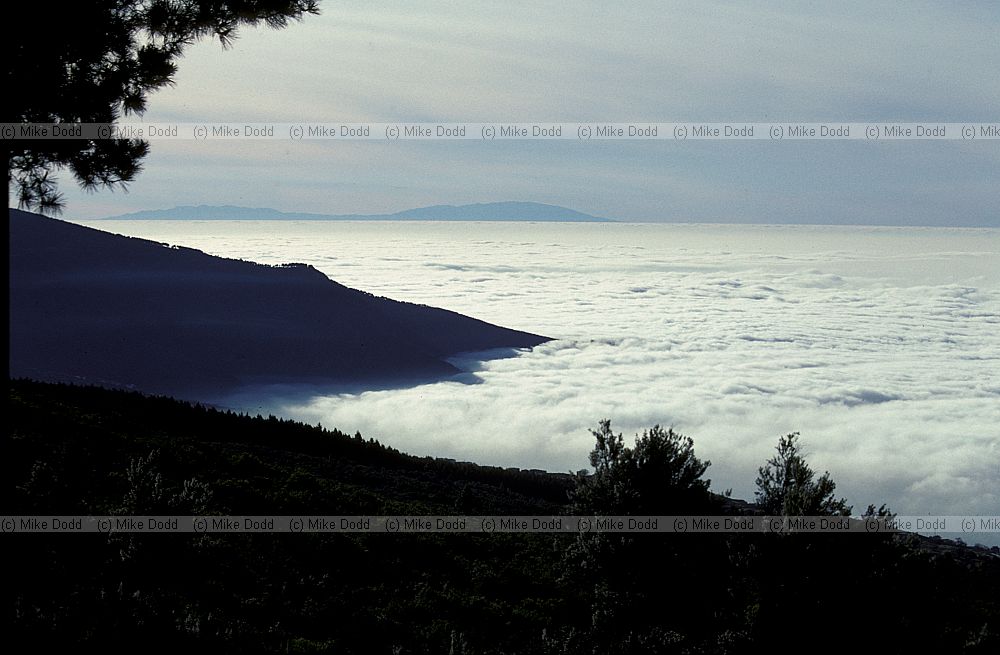 Cloud sea Valle de la Orotava