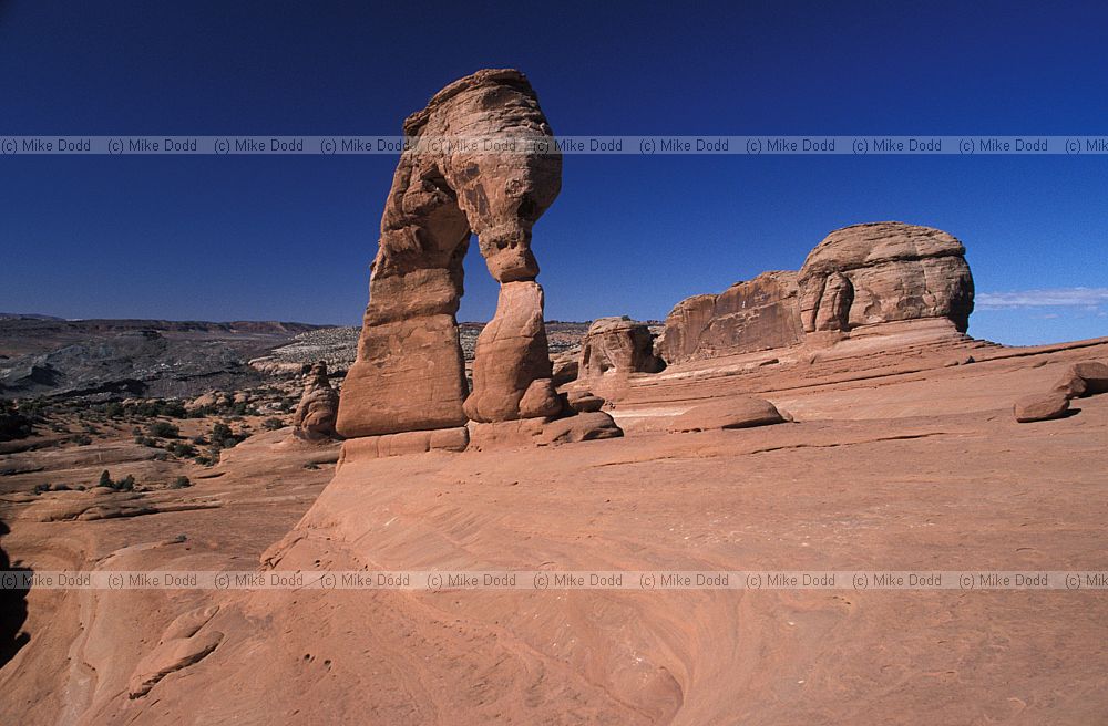 Delicate arch Arches national park Utah