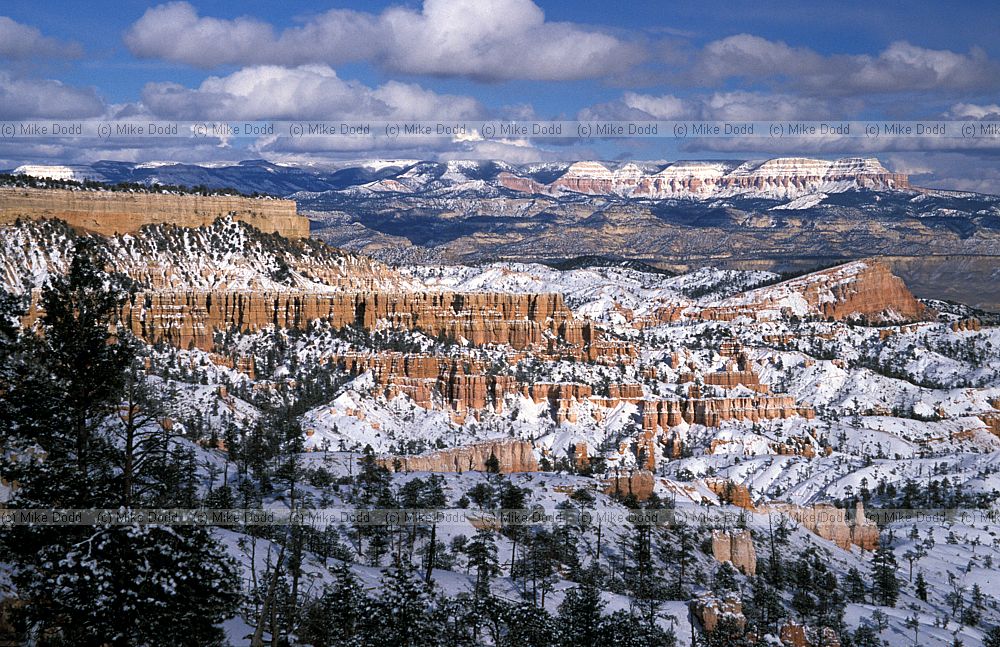 Bryce canyon National park Utah with snow