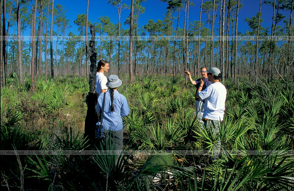 Jonathan Silvertown and studnets pine rocklands Everglades Florida