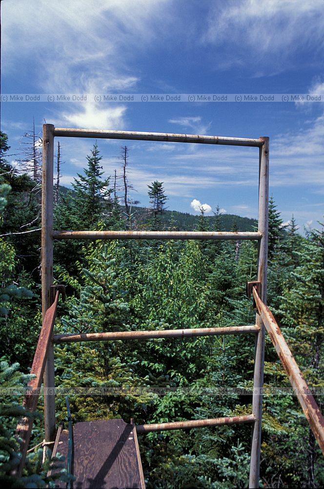 View from top of scaffolding in forest Whiteface mountain Adirondacks New York