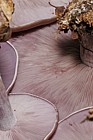 Lepista nuda Wood Blewit underside of cap showing gills