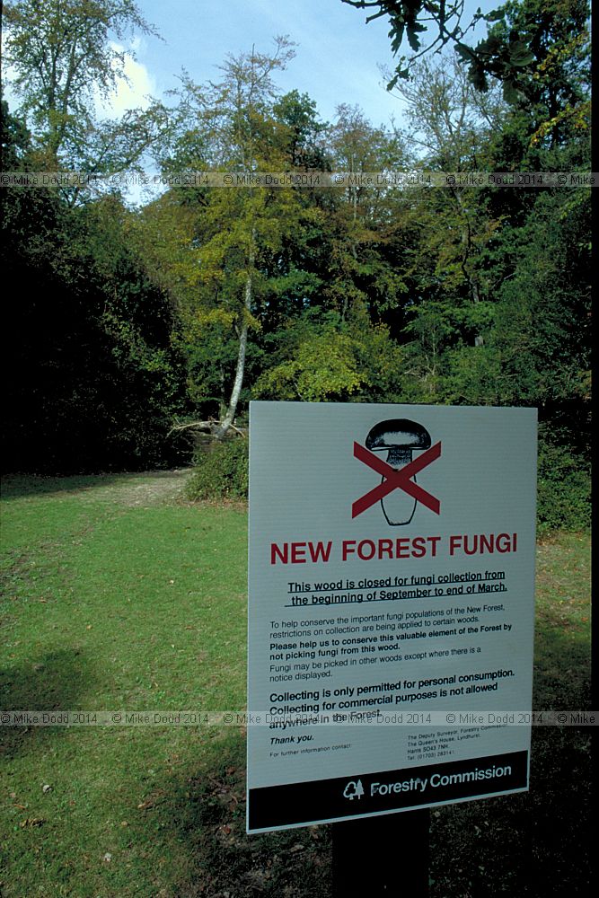No picking fungi sign