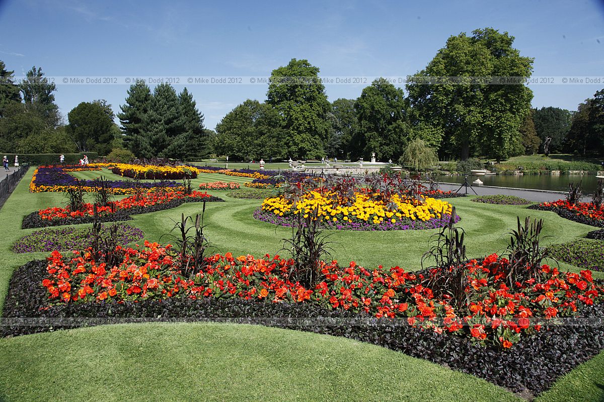 Formal bedding with begonias and african marigolds