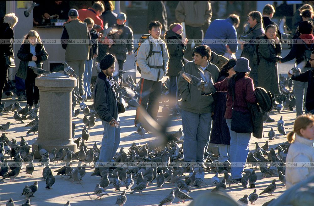 People and pigeons Trafalgar square London