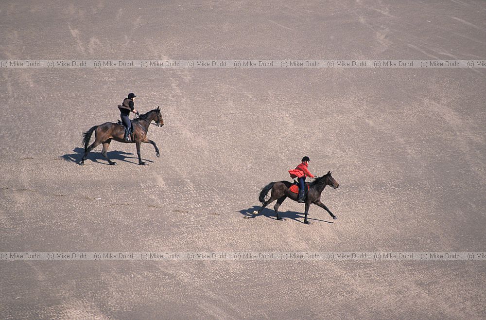 Horse riders on beach Gower