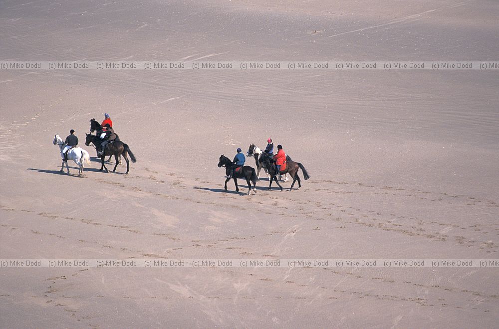 Horse riders on beach Gower