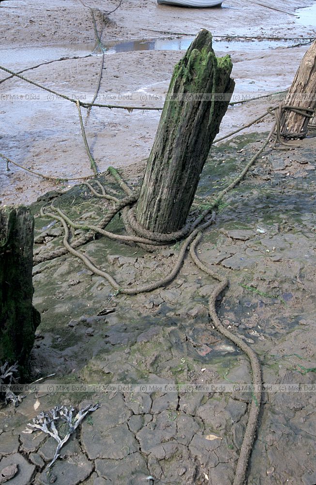 Rope in mud Norfolk