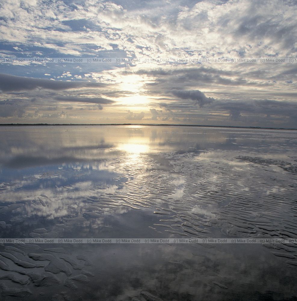 Seascape near sunset Donna nook Lincolnshire