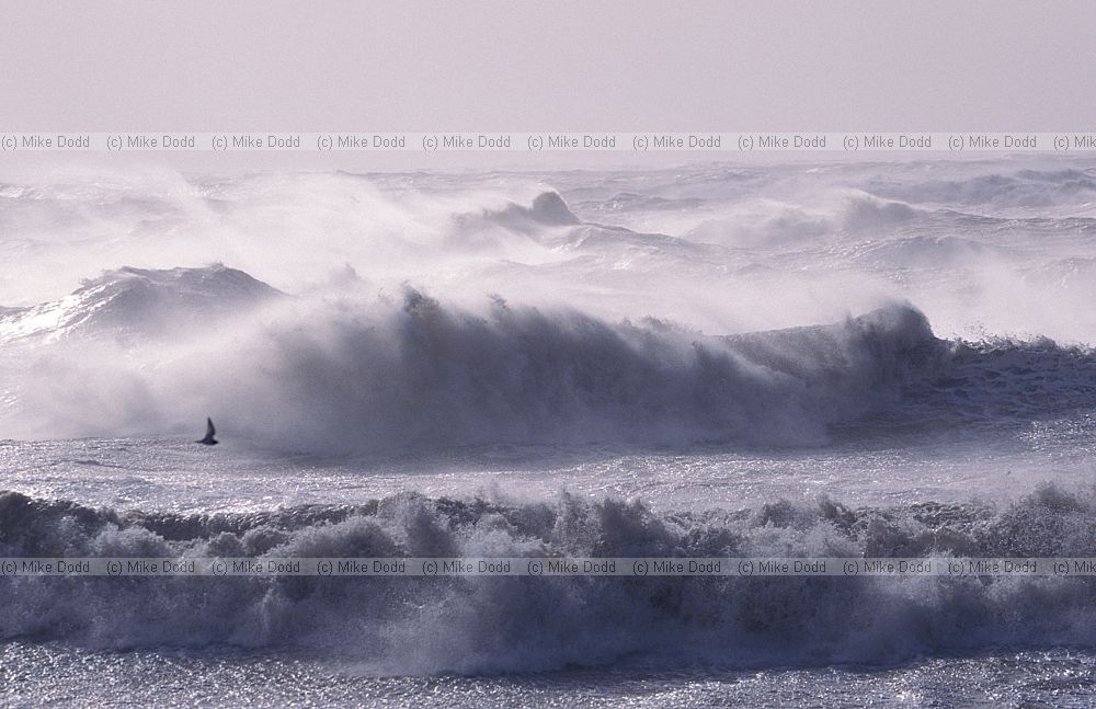 Stormy sea with big waves at Brighton