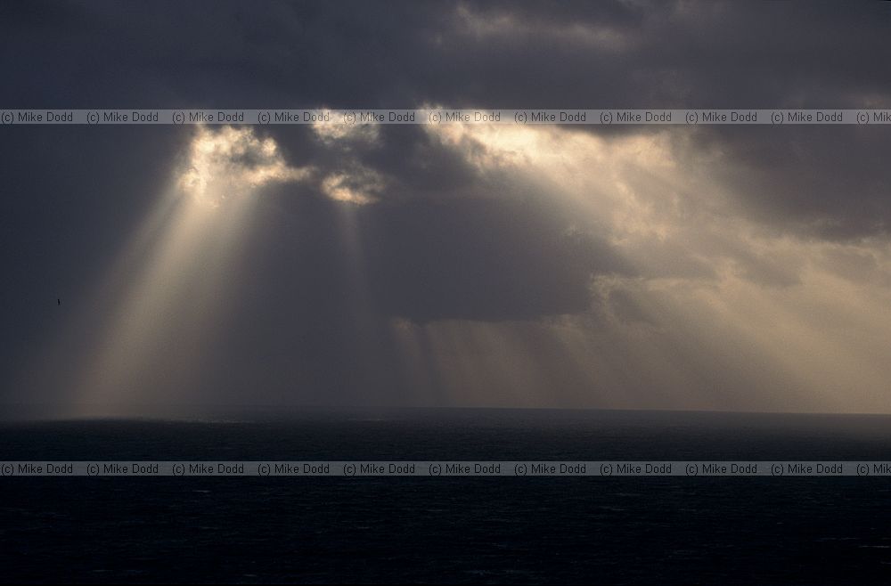 Sunbeams over sea