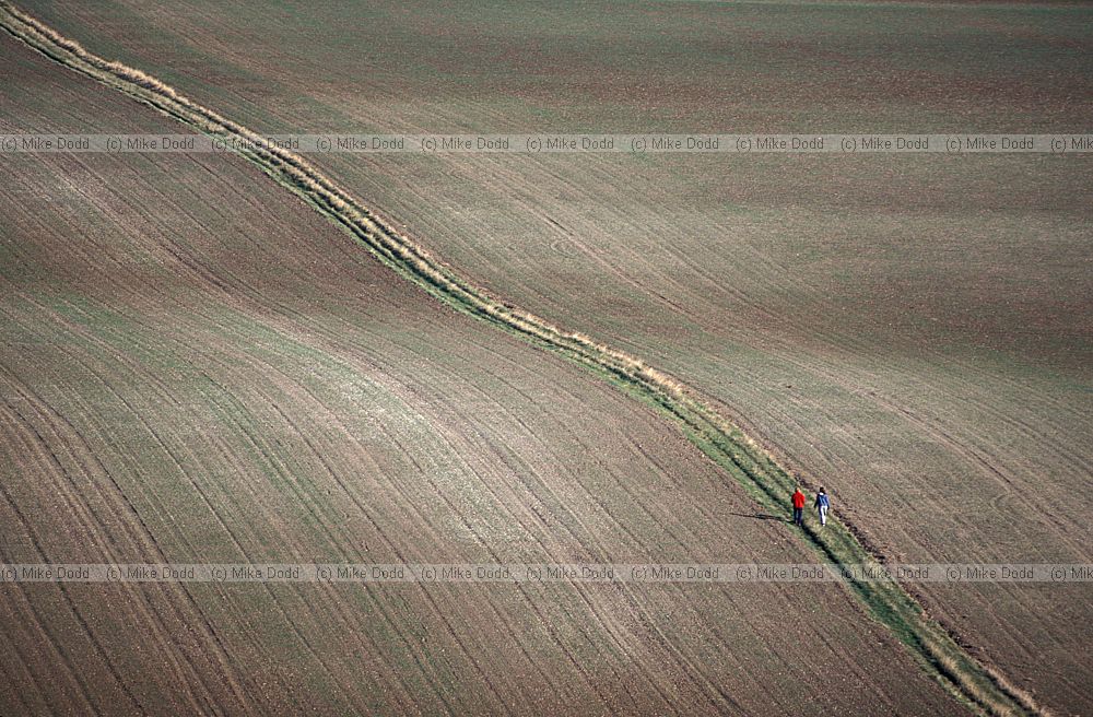 Walkers crossing bare field Ivinghoe