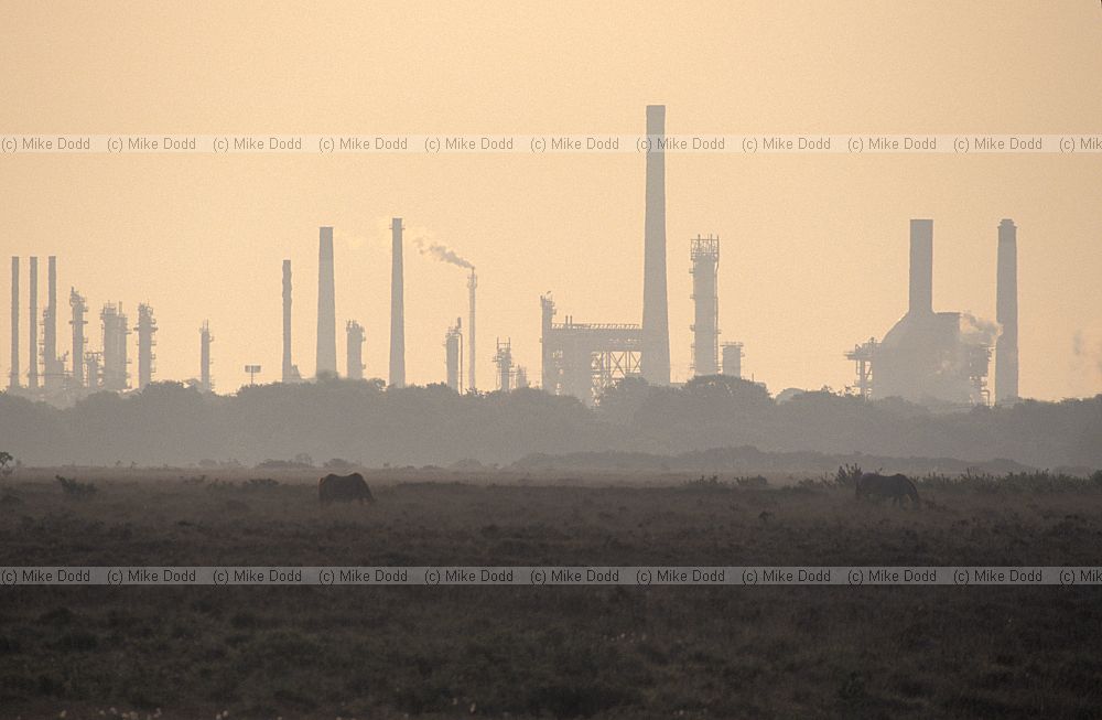 Fawley refinery sunrise Southampton