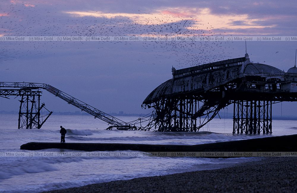 West pier Brighton damaged but still standing sunset