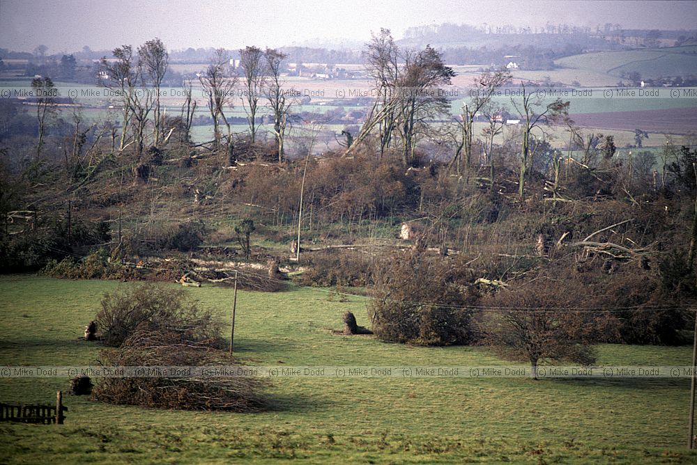 fallen trees and storm damage 1987